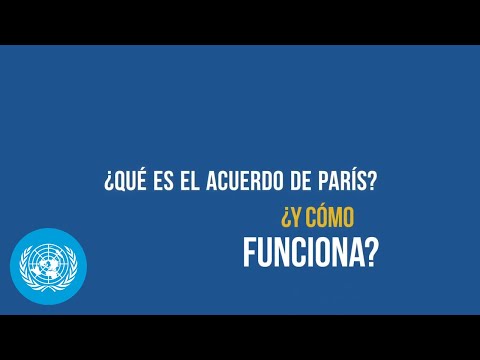 Video: ¿Qué hizo ápice el Tratado de París?