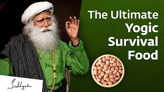 The Ultimate Survival Diet – The Yogic Superfood | Sadhguru Latest | Mystic Wisdom