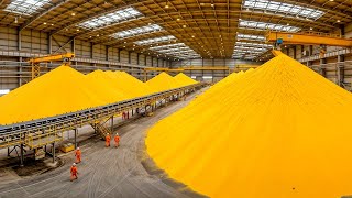 How Raw Uranium Becomes Pure Nuclear Fuel | Inside a High-Security Enrichment Plant