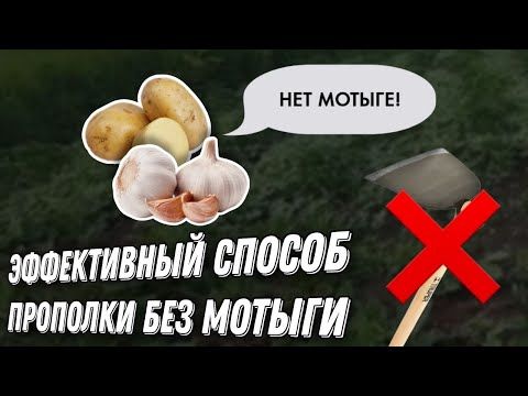 Прополка без Мотыги. Очень Эффективный способ. Хоть КАРТОШКА, хоть Чеснок. Когда много посажено.