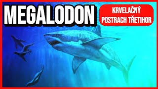 Megalodon - Krvelačný Postrach Třetihor Bruno