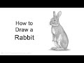 How to draw a rabbit standing