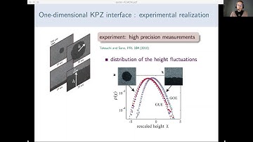 CANET Leonie, Kardar-Parisi-Zhang universality in 1D exciton-polariton systems