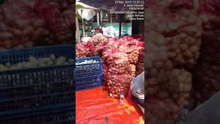 Jual Buah Buah Mengkudu 087840594490