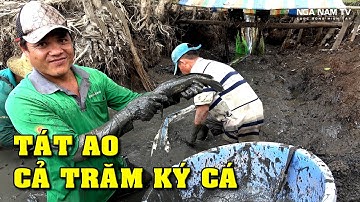 Tát Đìa Bắt Cá Miền Tây Bắt Lóc, Cá Rô, Cá trê Vàng Thấy Mê/Fishing/Catch The Fish/NGÃ NĂM TV