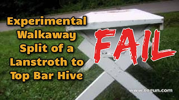 Experimental Walkaway Split of a Langstroth to a Top Bar Hive | FAIL