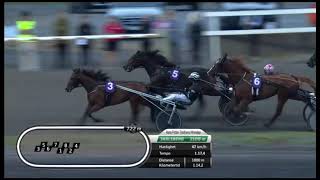 Hans Petter Tholfsens Minneløp 2026 - Express Go & Dag Sveinung Dalen 1.13,6 2100m 