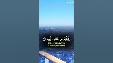 القران الكريم 🙏 راحه نفسيه 🤲🌲🌳