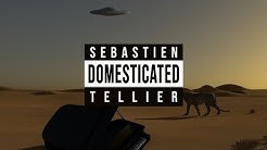 Sébastien Tellier - Domestic Tasks (Official Video)
