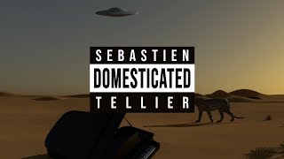 Watch Sebastien Tellier Domestic Tasks video