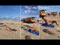 PERRO DINGO MUERDE EL CULO DE UNA TURISTA EN UNA PLAYA DE AUSTRALIA