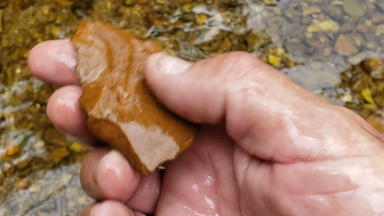 Rockdogs Arrowhead hunting challenge lets see who got game