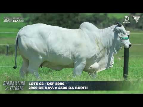 LOTE 02   DSF 5980