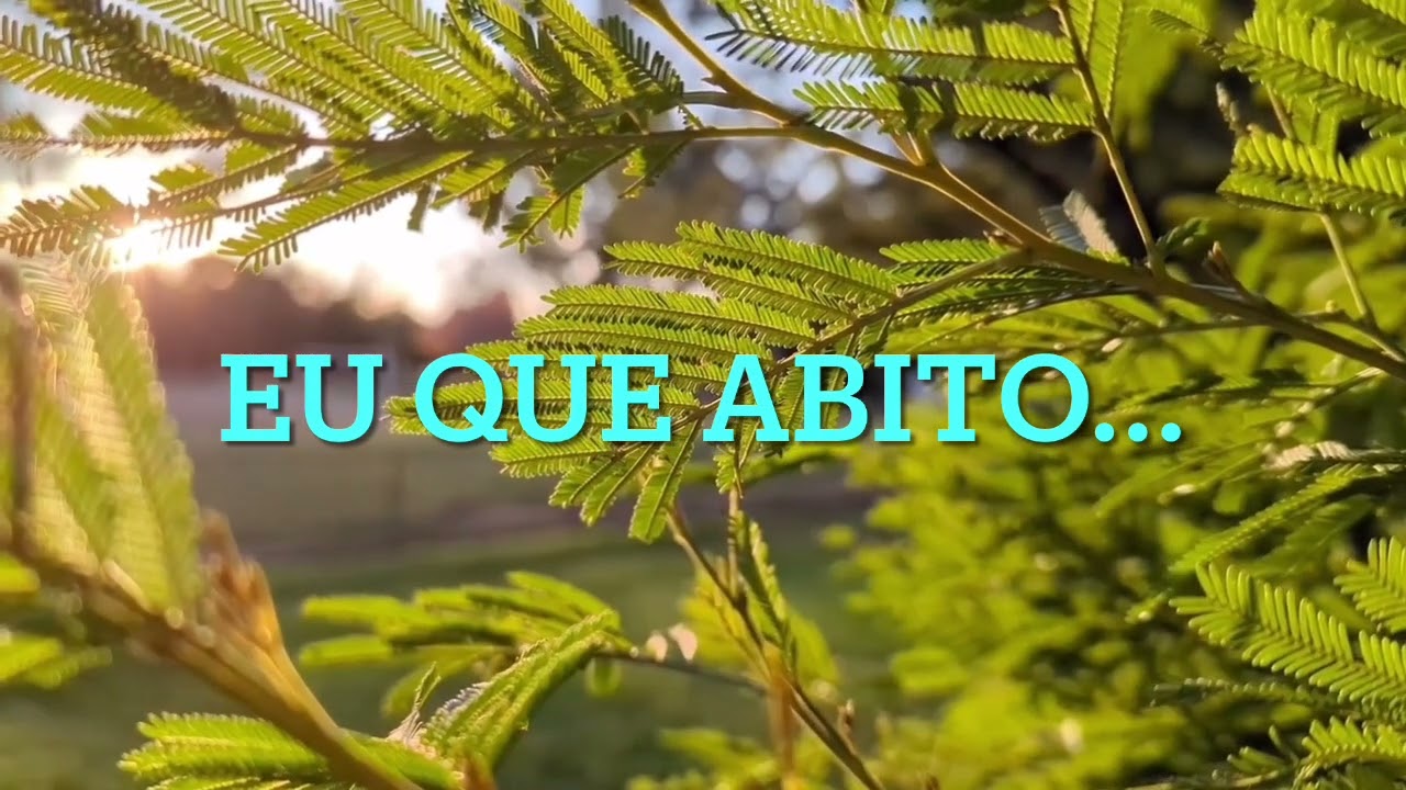 Evangelho 25/02/26. Essa Geração não Terá nenhum Sinal! Salmo 90.