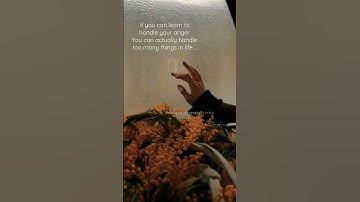 Anger management 🙂🤗 #shorts #viral