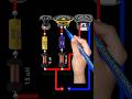 3 way passive speaker crossover circuit diagram #shorts