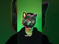 Обзор альбомов Тайлера. Часть 2. Goblin #tylerthecreator #igor #flowerboy #oddfuture #goblin