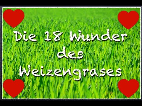 Video: Weizengras - Nützliche Eigenschaften, Anwendung, Behandlungsregeln