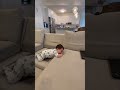 蜗牛与黄鹂鸟 人工加智能 蜗牛与黄鹂鸟 人工加智能