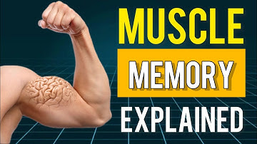 Muscle Memory : How Muscle Memory Works Explained (2023)