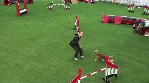 International Agility Training Week - Backside Send with trap obstacle - preview