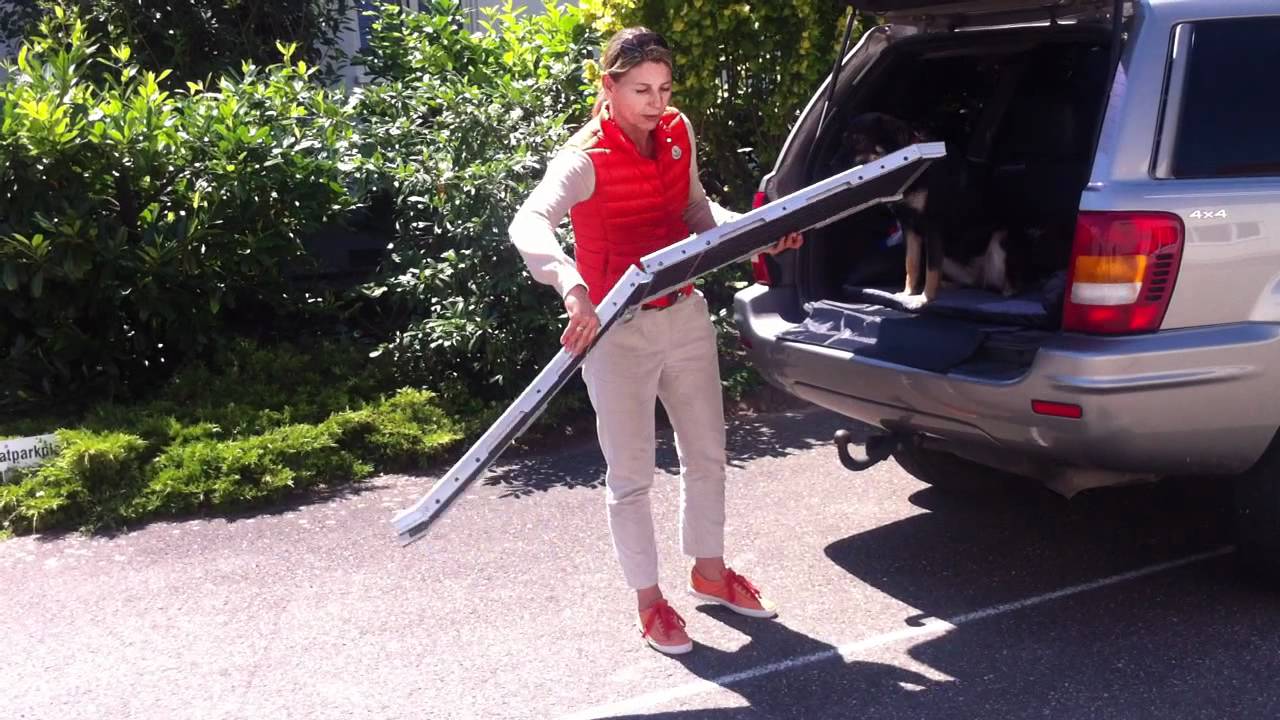 Einstiegshilfe Hund Seitentur