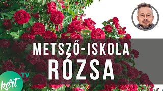 Rózsa metszés Szomoru Miklóssal - kert TV metsző Iskola