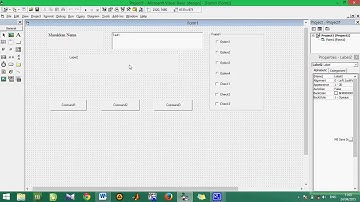 Cara Membuat Program Efek Tulisan Dengan Visual Basic 6