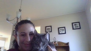 Problem Solving-Make a Table