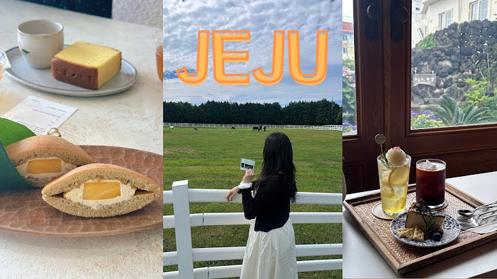 [VLOG] 제주 3박4일 힐링여행🍊🏝️ㅣ식당마요네즈•원담•새별프렌즈ㅣ월정리 숙소추천⸜❤︎⸝‍