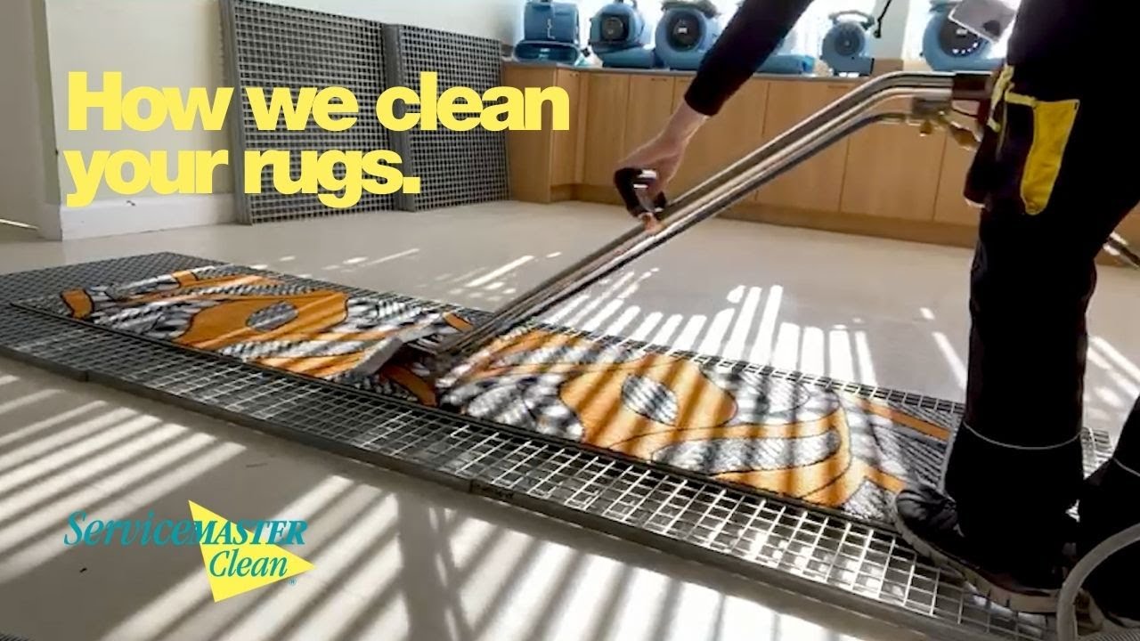 Rug Cleaning The Hot Water Extraction Process YouTube