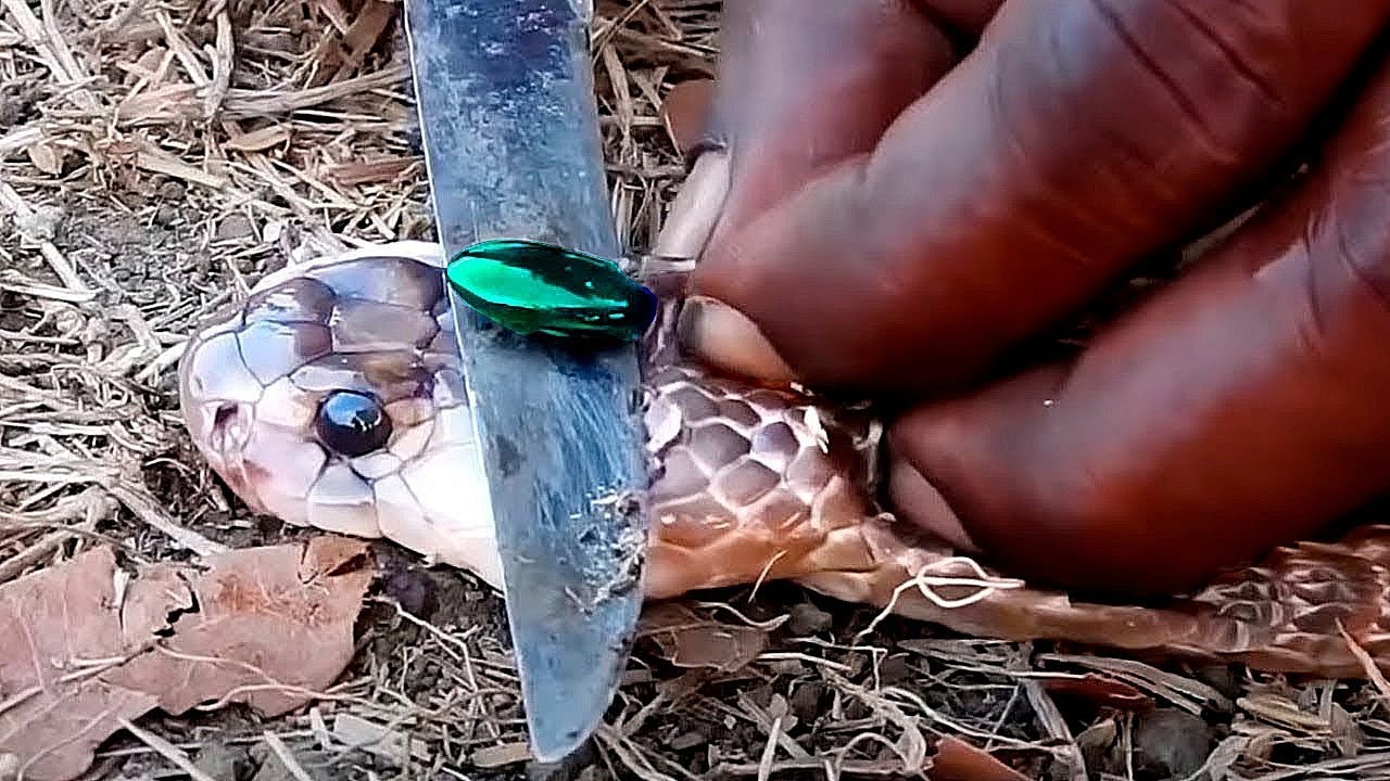 Qual Jóia Mais Rara?