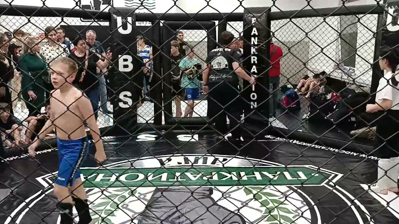 24 декабря 2023 г.