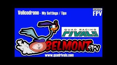 Velocidrone - Here are my settings / Tips
