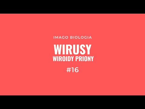 Wideo: Kiedy komórka lizie wiriony, co robi?