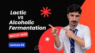 Anaerobic Respiration | Lactic Acid vs Alcoholic Fermentation | FSC &amp; MDCAT 2026