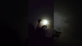 moon always waits for a dark night