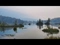 Cheam Lake Wetlands Regional #pier #automobile #barcode #fishing #datamatrix #lake #datastorage 