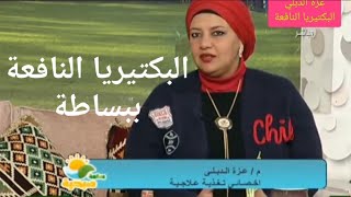 البكتيريا النافعة/فلورا المعدة/سيبو/البروبيوتك/الميكروبيوم/فوائد/اضرار/اطعمة غنية