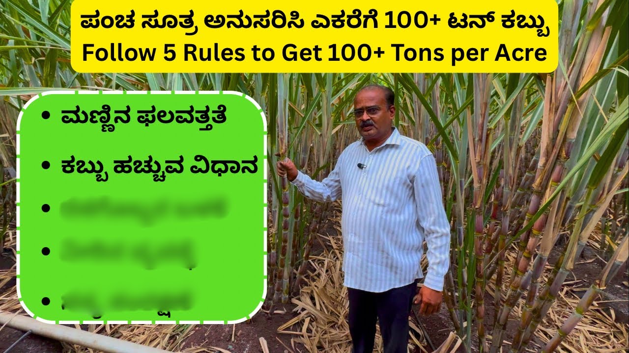 ಪಂಚ ಸೂತ್ರ ಅನುಸರಿಸಿ ಎಕರೆಗೆ 100+ ಟನ್ ಕಬ್ಬು | Follow 5 Rules to Get 100+ Tons per Acre