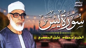 تلاوة مؤثرة من سورة يس 🌹 تبعث الطمأنينة والسكينة في القلوب 🕊️ #سورة يس #quran #القرآن #يس