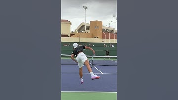 Could You Return This Tennis Serve?