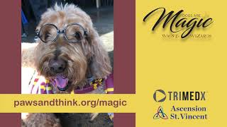 Dogs Are Magic-Wags And Wizards 2019