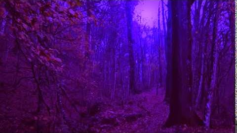 Ancestral - Isolation III