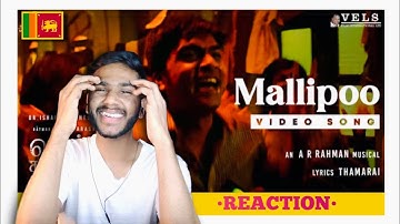 Mallipoo Video Song REACTION | VTK | HDR | Silambarasan TR | Gautham Vasudev Menon | ARRahman | Vels