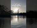 Beautiful place and song. #marathi #marathivlog #marathistatus #marathisong #travelvlog #backwaters