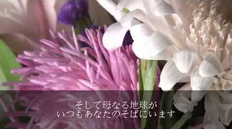 インディアン言葉 Youtube