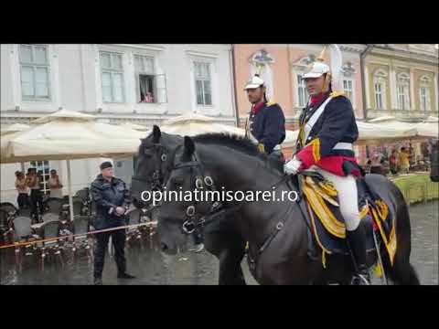 Defilare militara la 100 de ani de la intrarea trupelor romanesti in Timisoara, in Piata Unirii