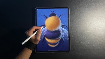 How To Draw A Bee In Procreate 🐝 | iPad Illustration
