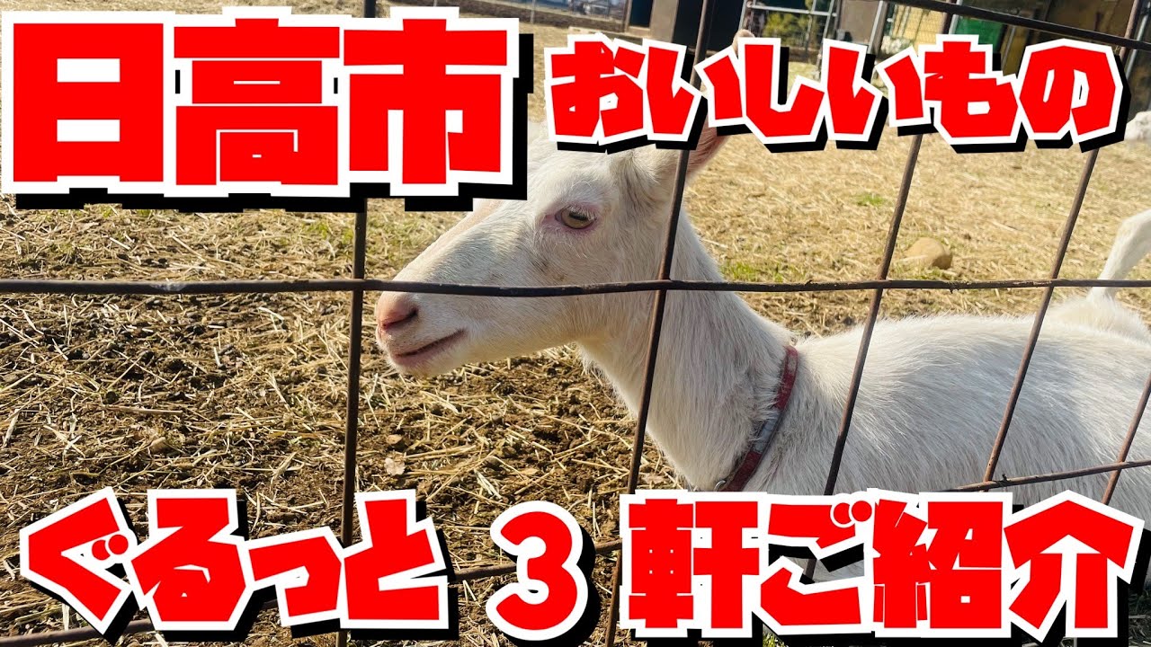 【埼玉グルメ】のんびりまったり日高市で美味しいお店３軒ご紹介・熱々クリームパンにジェラート・しいたけパンまで✨ん〜楽しい😃